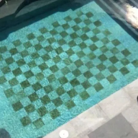 Magna (adults Only) 4* Πουέρτο Ρίκο